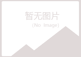 集安雅山会计有限公司